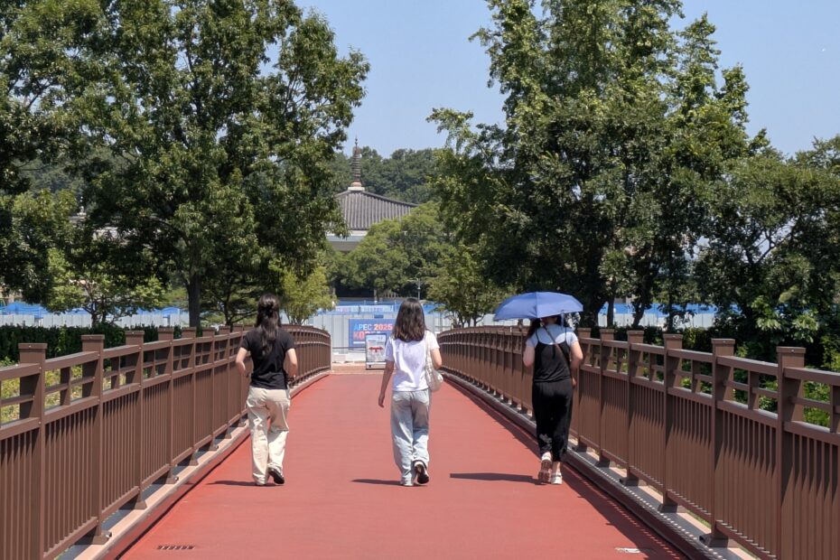 going to gyeongju museum