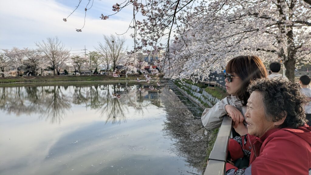 My mother and wife are looking at the cherry blossoms.
