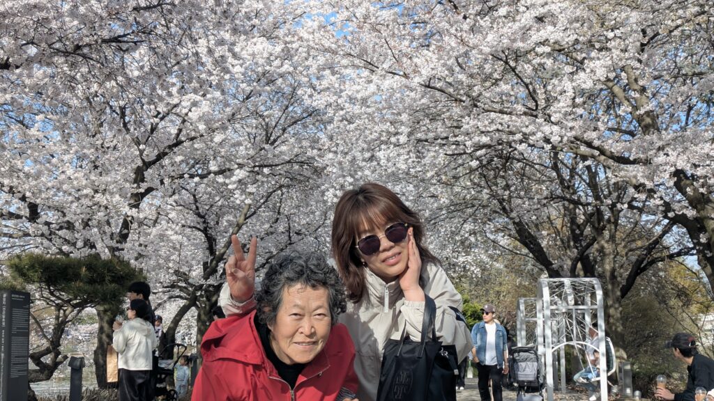 My mother and wife took a picture with cherry blossoms in the background