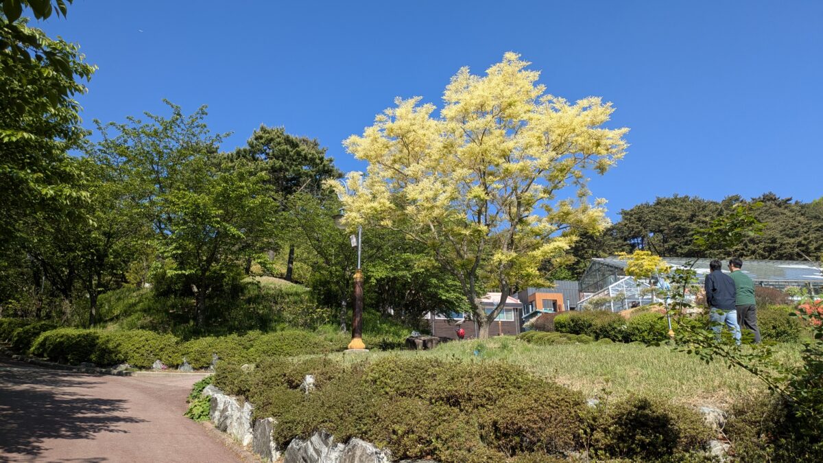 봉수산 수목원 산등성이 풍경